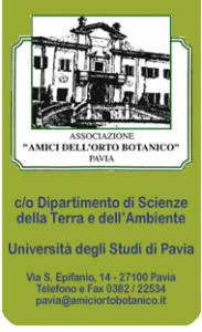 ortobotanico pavia